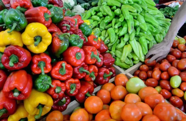 Feria ganadera busca resaltar al sector agrícola familiar campesino