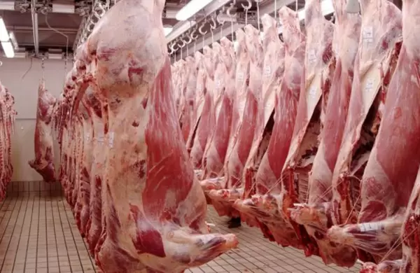 Las perspectivas del mercado de la carne para 2024 con la quita del cepo exportador