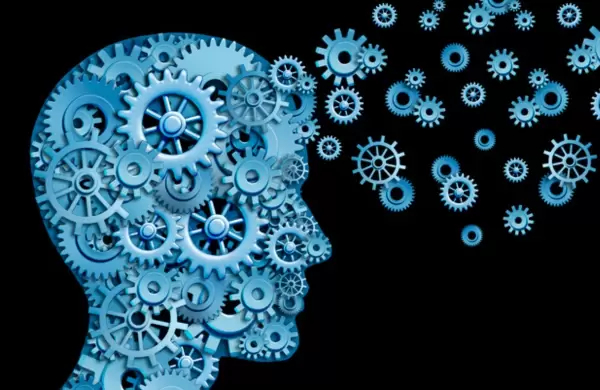 Cmo construir conocimiento para ser un mejor inversor