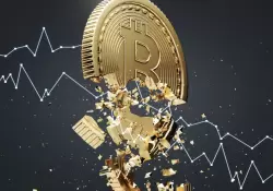 Qu hay detrs de la "montaa rusa" del bitcoin