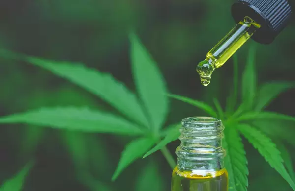 Por qu el cannabis es parte del futuro de las grandes tabacaleras