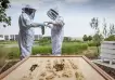 Futuro alimenticio: una startup israelí logró crear miel sin utilizar abejas