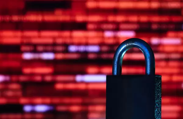 Cinco consejos de ciberseguridad para las organizaciones