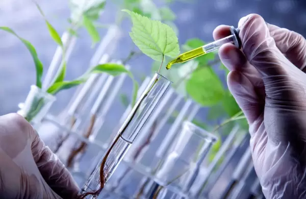 Siete nuevos contratos de inversión se concretaron