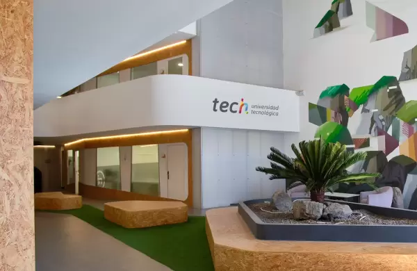 El 97% de los egresados de TECH tiene trabajo desde el primer año