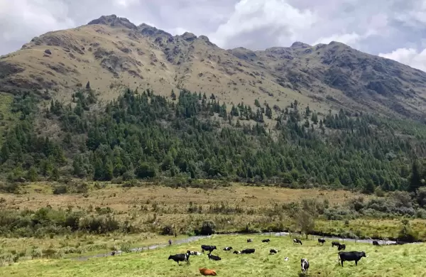 La canadiense Dundee ya es propietaria del proyecto minero Loma Larga