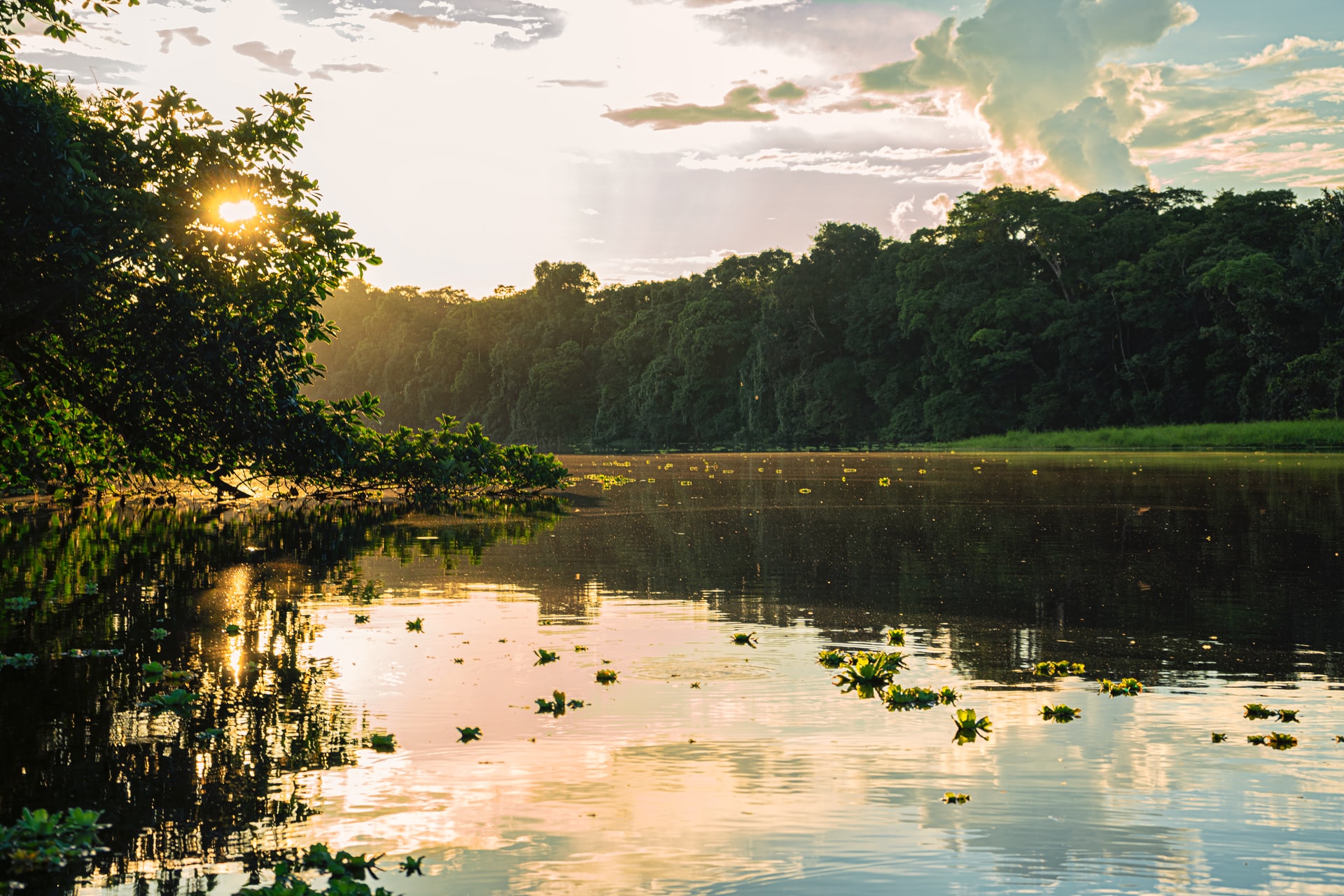 Proyecto Promover Ideas Innovadoras En Beneficio De La Amazon a