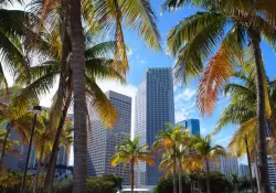 Miami tendr su propia criptomoneda: cmo es el 'MiamiCoin'