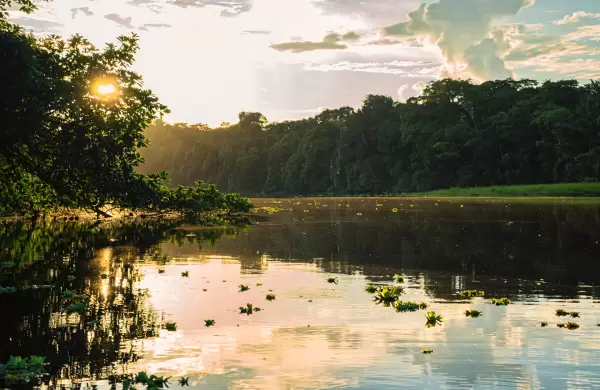 Proyecto promoverá ideas innovadoras en beneficio de la Amazonía