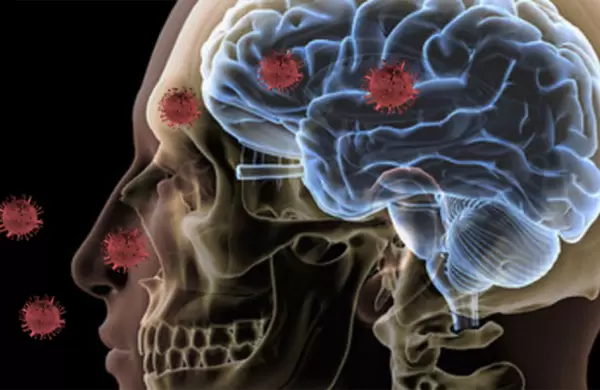 Video: Por primera vez, registran cmo el Covid ataca al cuerpo