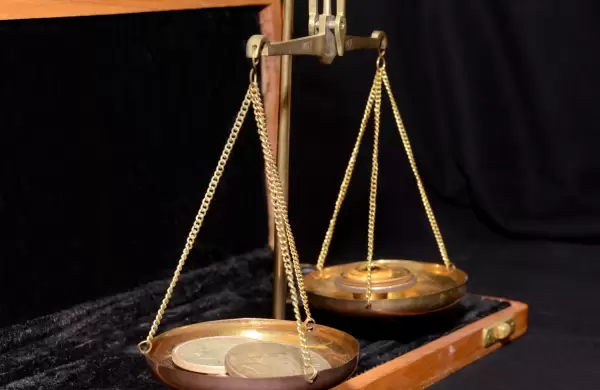 Delegar no es privatizar