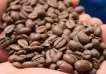 Se busca al mejor productor de café tostado