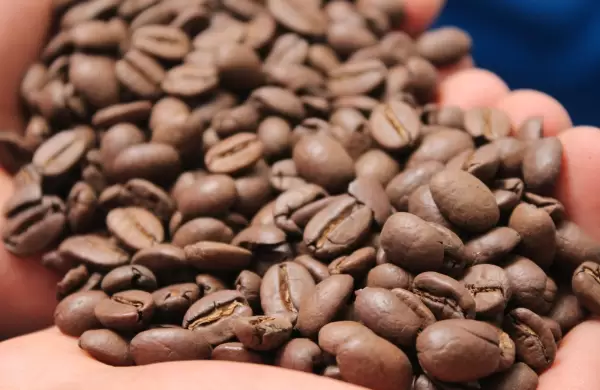 Se busca al mejor productor de café tostado