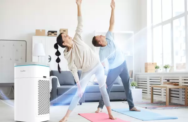 Una empresa argentina desarroll un purificador porttil anti Covid