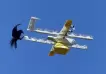 Videos: Cómo las aves pelean con los drones de Google en pleno envío