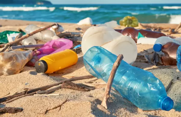 Una campaña busca reducir el uso de botellas plásticas