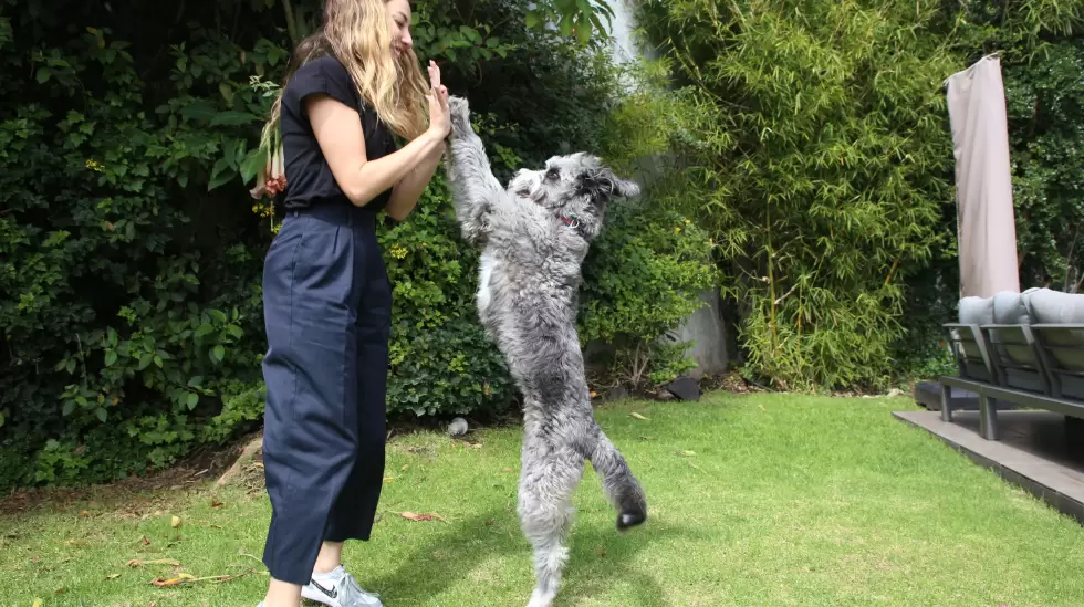 Daniela Herdoiza y su mascota Quito Ecuador