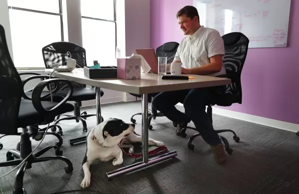 Cuáles son las 25 startups que serán los próximo unicornios