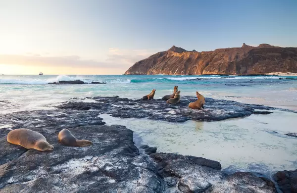 Un lugar a donde siempre quieres regresar