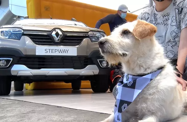Renault abre una vitrina para la adopción de mascotas