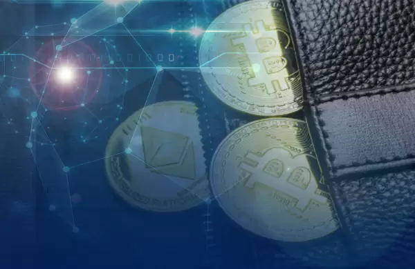 Qu son y cmo se usan los 'Wallets' o monederos de criptomonedas