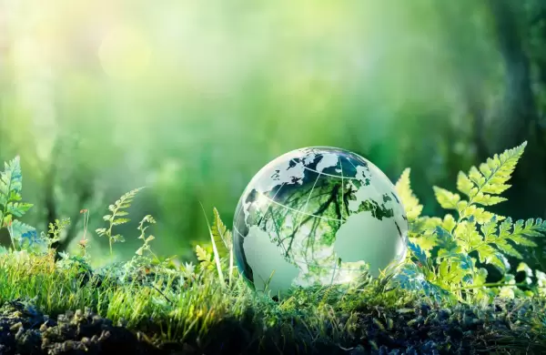 Esenciales de Forbes: Una empresa verde para invertir en medio de la crisis energética mundial