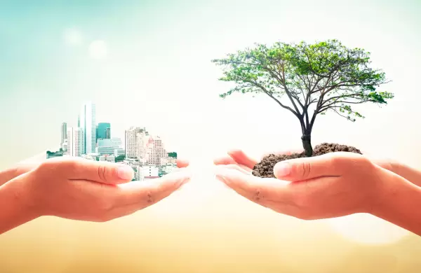 Cómo se transforman las empresas para que su packaging sea más ecológico