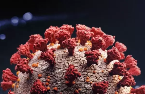 Una nueva variante "horrible" de coronavirus derrumba los mercados mundiales