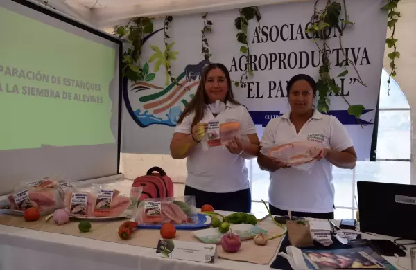 US$ 8 millones en juego para emprendedores amazónicos