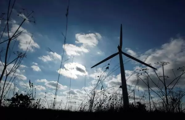 Una industria podrida