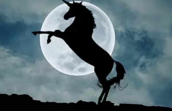 Unicornios en América Latina: oportunidades y desafíos en un mercado en evolución