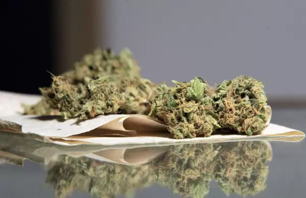 Diez grandes predicciones para el cannabis en 2022