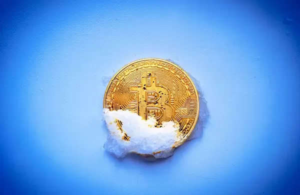 Por qué el Bitcoin está en un "criptoinvierno" y podría pasar a una "era del hielo"