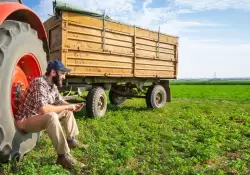 Cmo es la aplicacin de AgTech que usan 600 millones de agricultores en ms de 40 pases