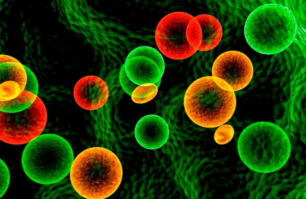 Del legado a hacer del Stem Cells Transplant Institute un líder regional en medicina regenerativa