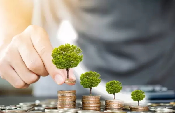 Seis pasos esenciales para adoptar correctamente los criterios ESG