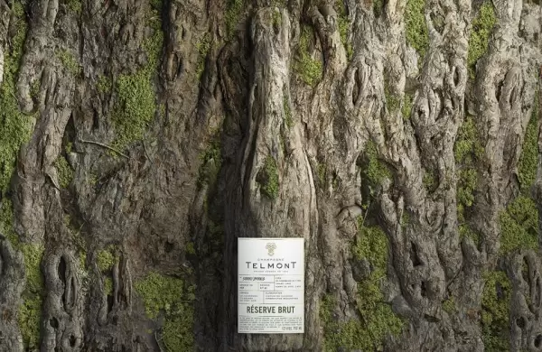 Cmo es el champagne sostenible y sper exclusivo en el que invierte Leonardo DiCaprio