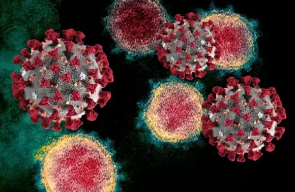 Cómo es 'Deltacron', la cepa horrible que combina lo peor de Ómicron y Delta