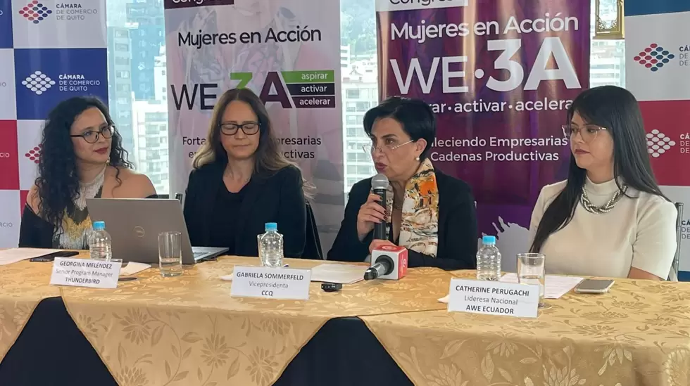 Programa WE3A
