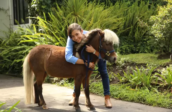 Caramelo, el pony que derrite el corazn de esta ejecutiva quitea