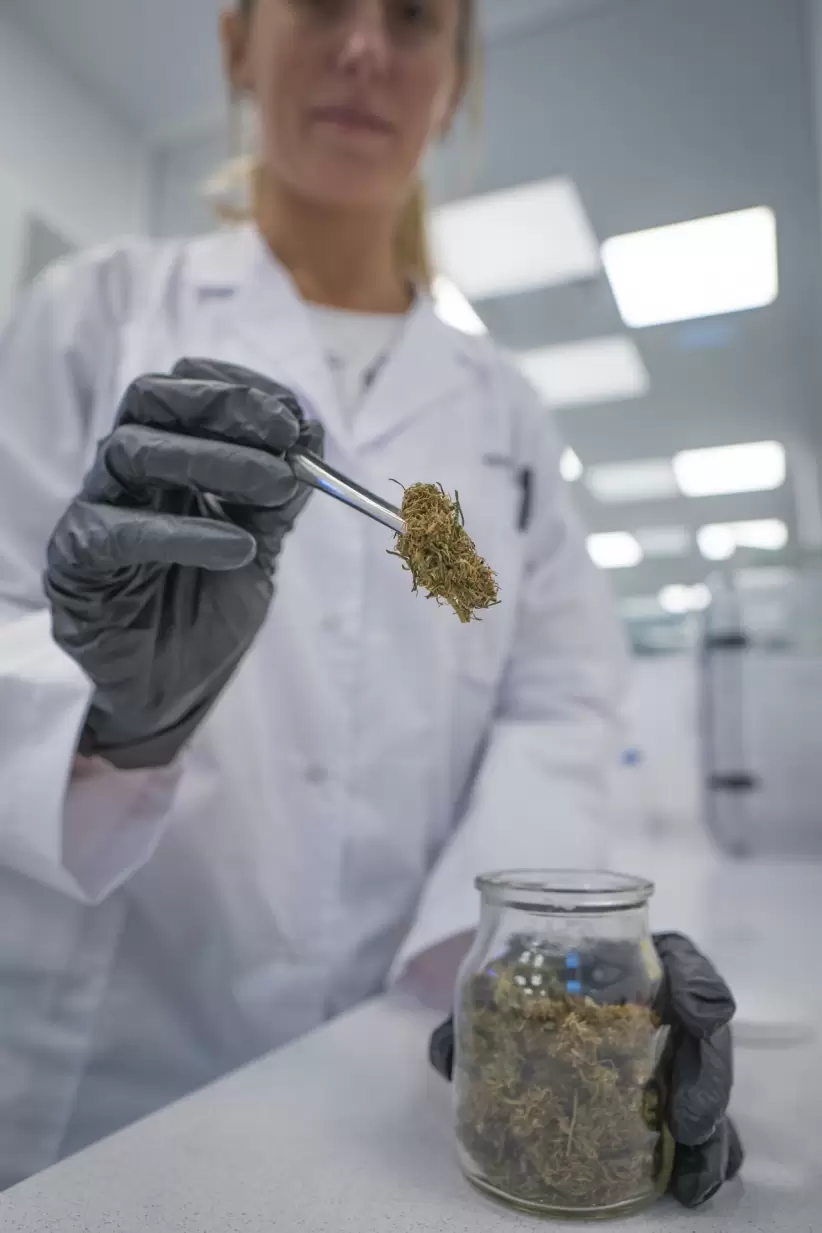 En Hemp Lab se realizarán distintos análisis de productos relacionados al cannabis