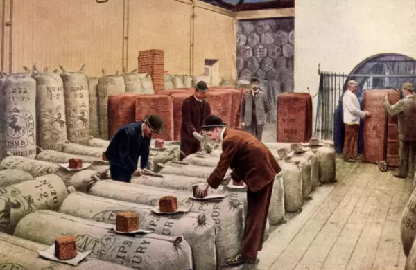 Cerveza, política, banca, religión y una maldición: la historia de los Guinness