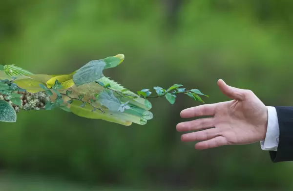 Cómo hacer que la sostenibilidad corporativa sea rentable