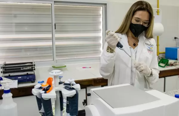 Científicos estadounidenses infectaron deliberadamente a personas con Zika: este es el motivo