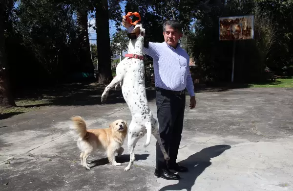 Tres perros, dos gatos y un Gerente General (de Delltex)