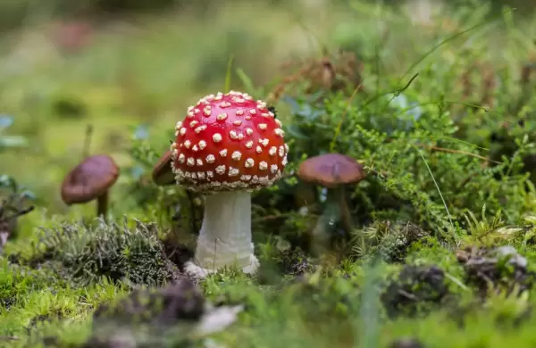 Cinco perfiles de personas tóxicas que debes vigilar (y evitar) en tu trabajo