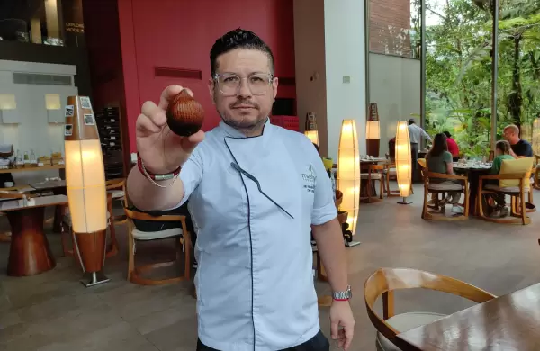 Plantas nativas + biología + sostenibilidad, ingredientes infaltables en la cocina de Mashpi Lodge