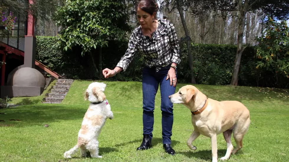 Cecilia Falcon y su mascota Quito - Ecuador