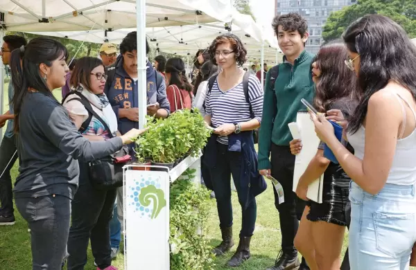 Cómo trabaja la incubadora argentina que promueve emprendimientos de impacto ambiental