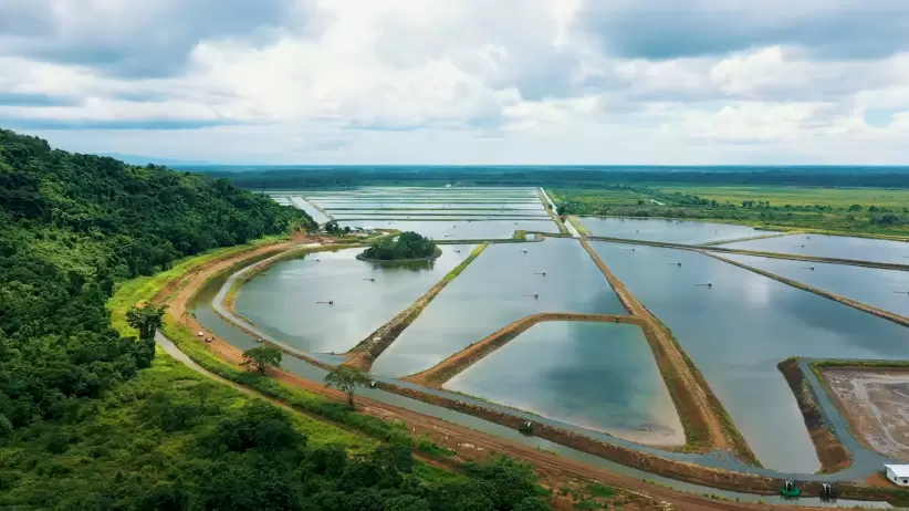 Camaronera Santa Priscila